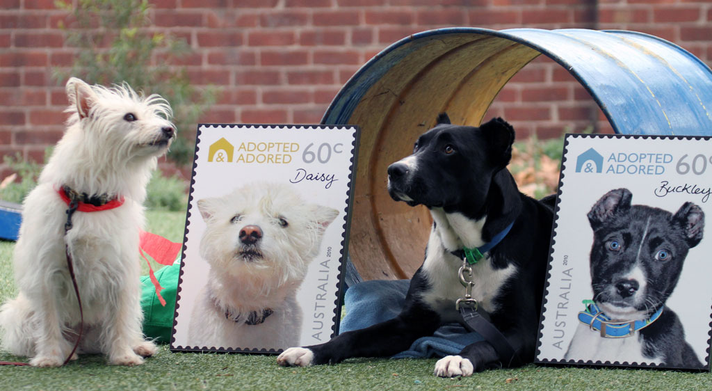 News and Media - ‘Adopted and Adored’ Australian postage stamps - The Lost Dogs' Home