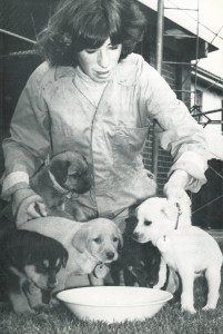 1975 - Feeding time for the puppies at the Home